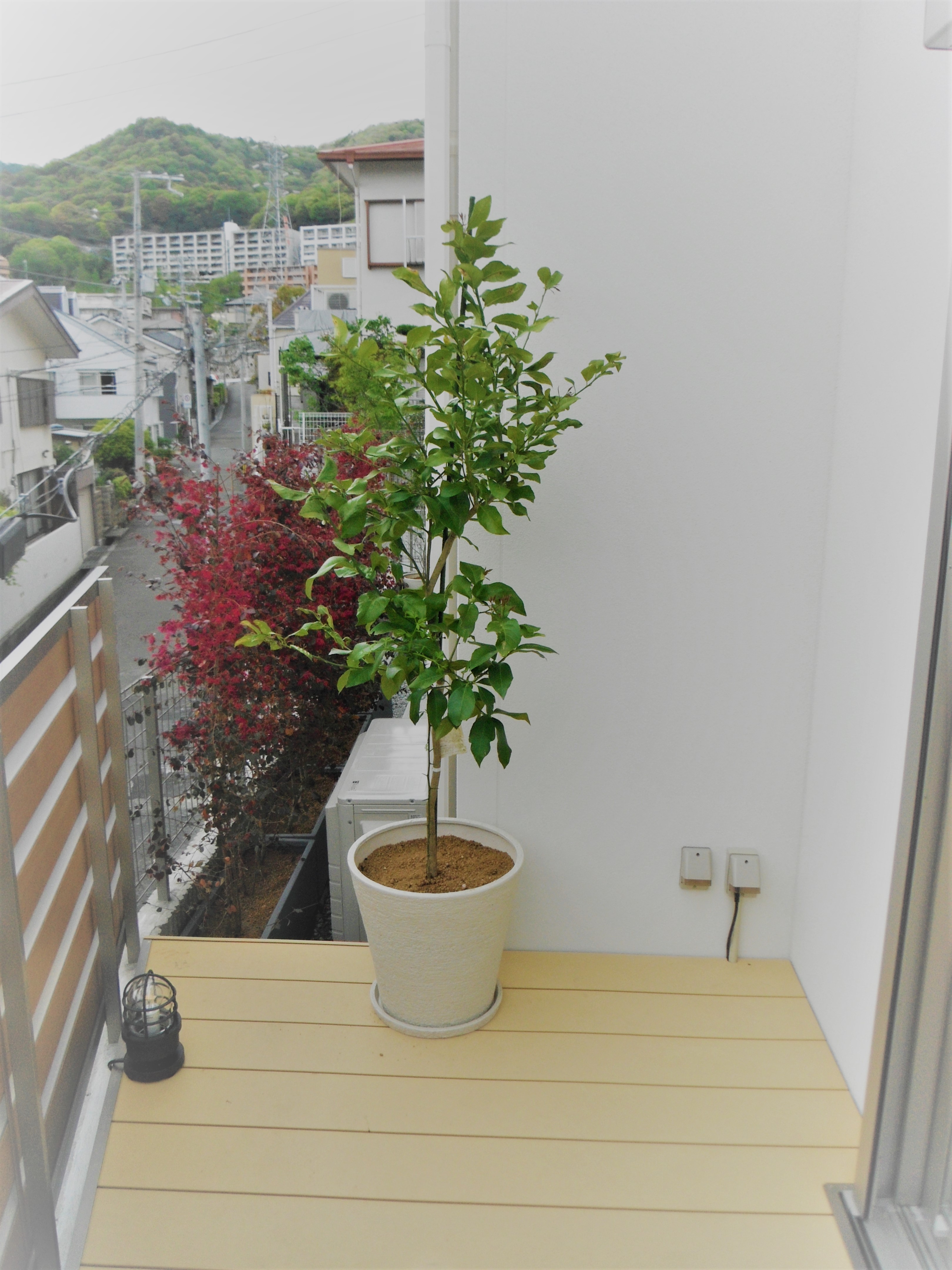 華麗に家族を見送り迎えてくれるガーデン（芦屋市・I様邸）