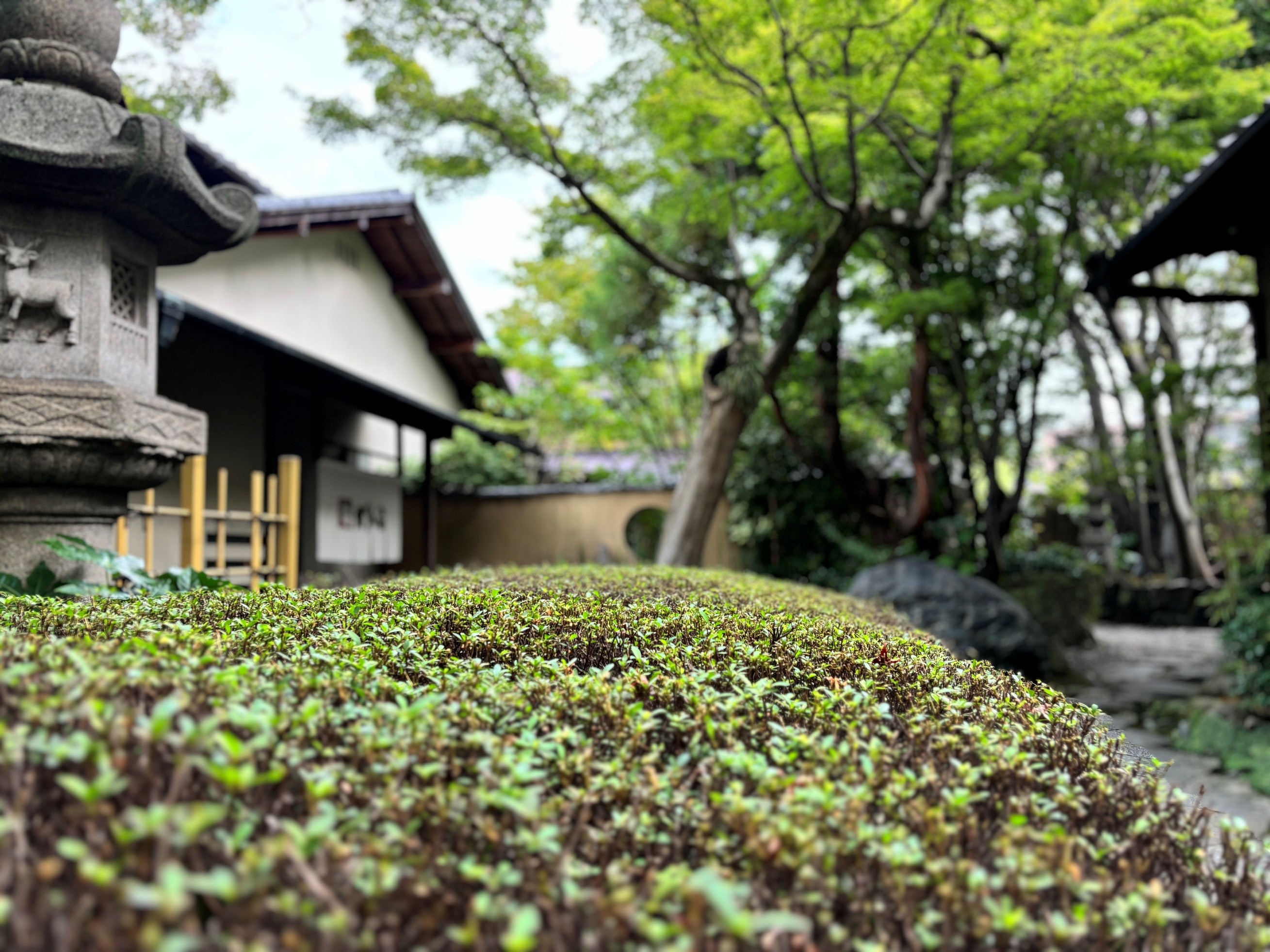 和風庭園の庭園管理